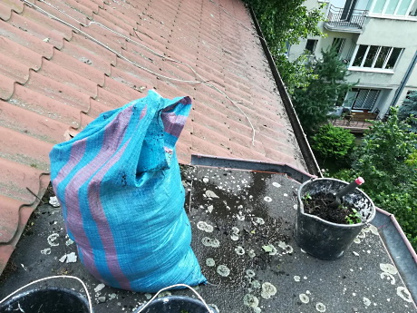 Kiedy należy czyścić rynny?